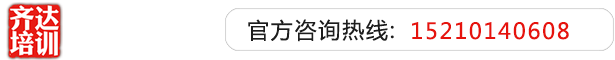 大肉棒插进阴道视频齐达艺考文化课-艺术生文化课,艺术类文化课,艺考生文化课logo